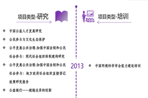 插吧网站插吧网站非评估类项目发展历程